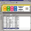 Strip Label Custom Designs, Color Code Label Design, Design File Labels, Design RFID File Labels, Color Label Printing Software for File Folders
