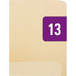 Year Bar File Folder Labels